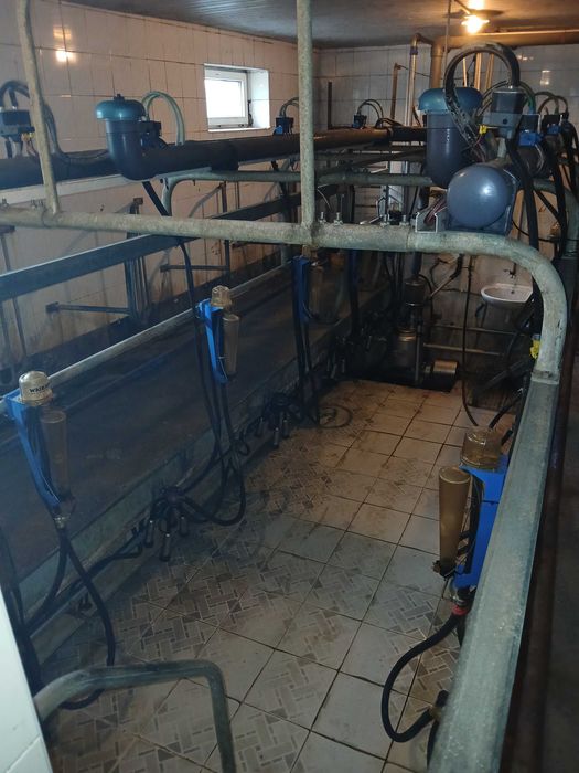 Hala udojowa Fullwood