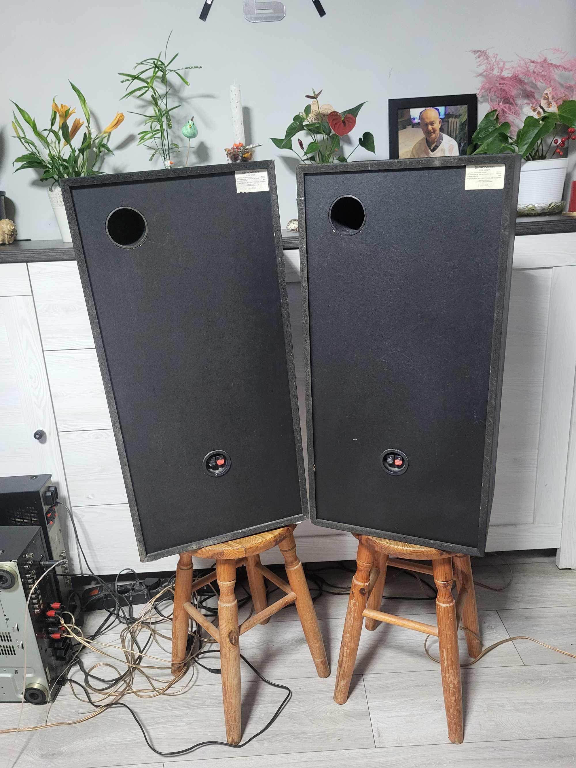 Kolumny Pioneer CS 997 Altus 110