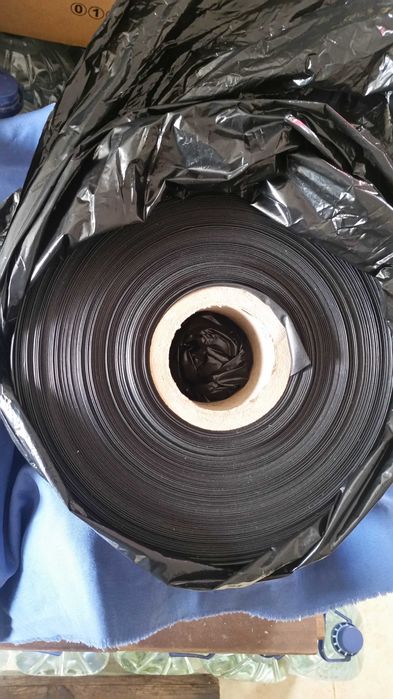 Manga - mangueira nova