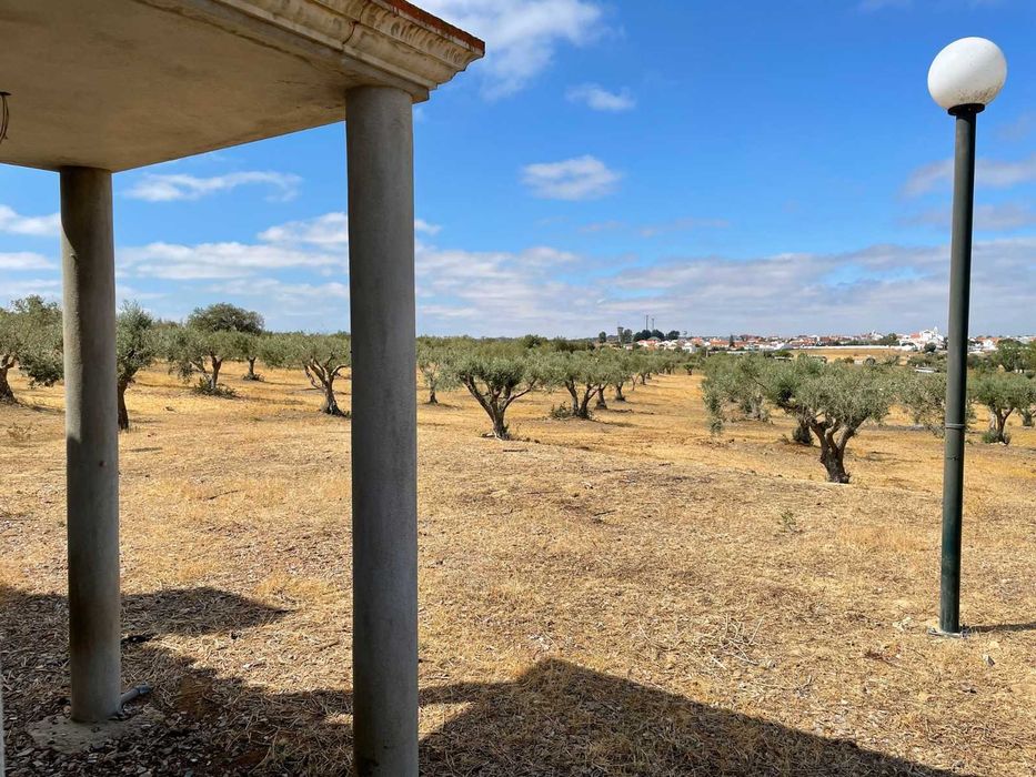 Herdade mista com 50000mt