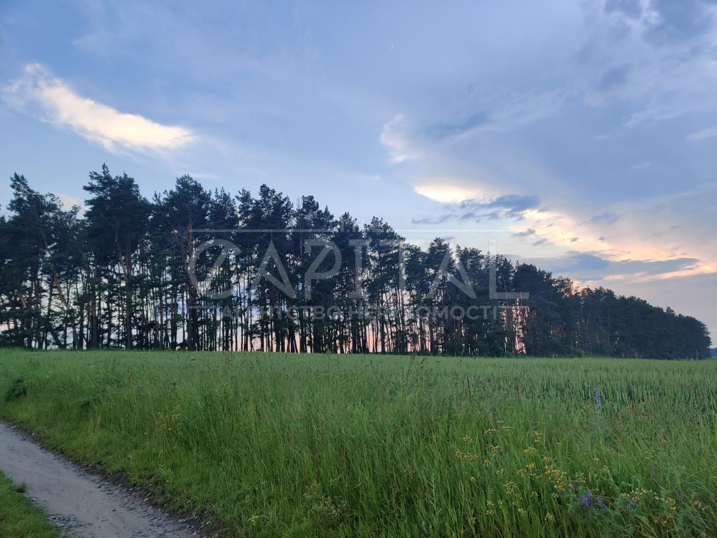 Продаж ділянки, с. Рожів, Маркарівський р-н