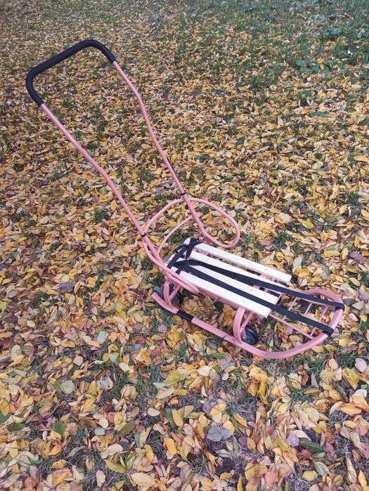 Безкоштовна доставка Санки з колесами Патріот Мрія сани