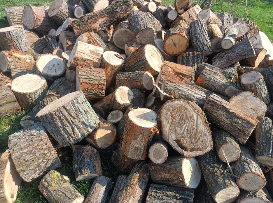 Opał grab dąb brzoza olszyna sosna