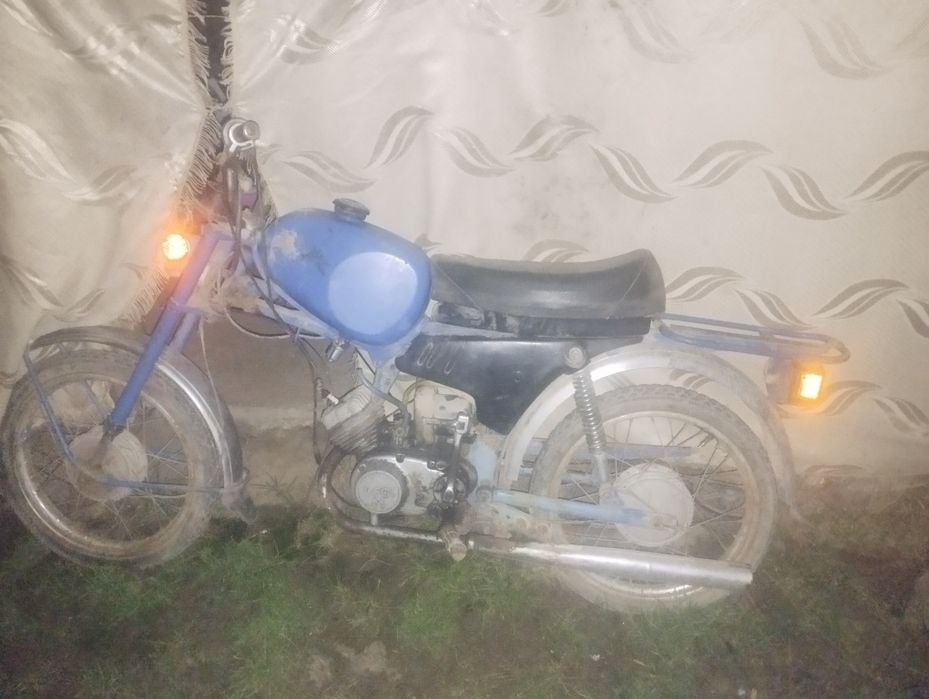 Карпати під відновлення