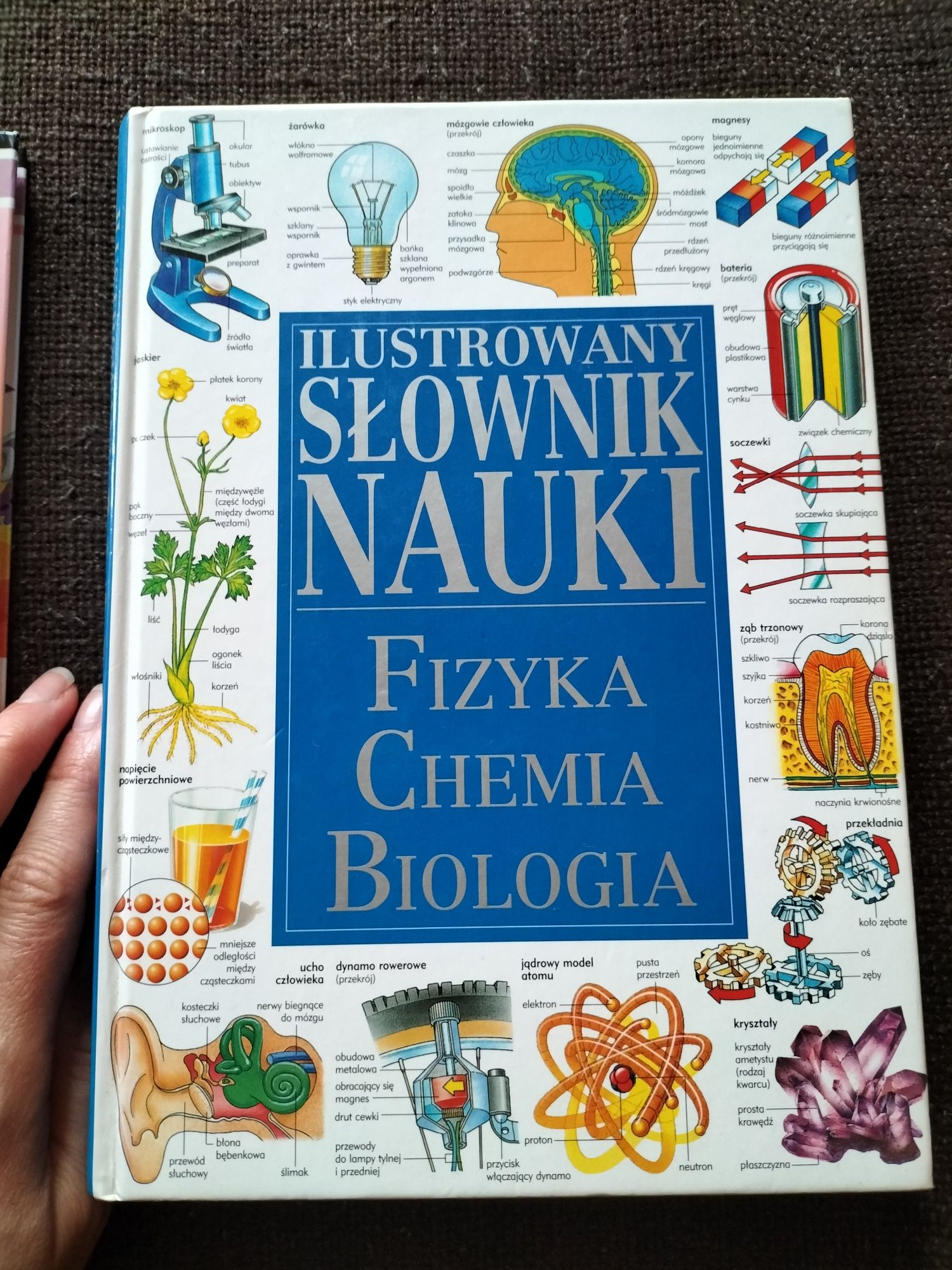 Zestaw ilustrowany słownik nauki fizyka chemia biologia+ encyklopedia