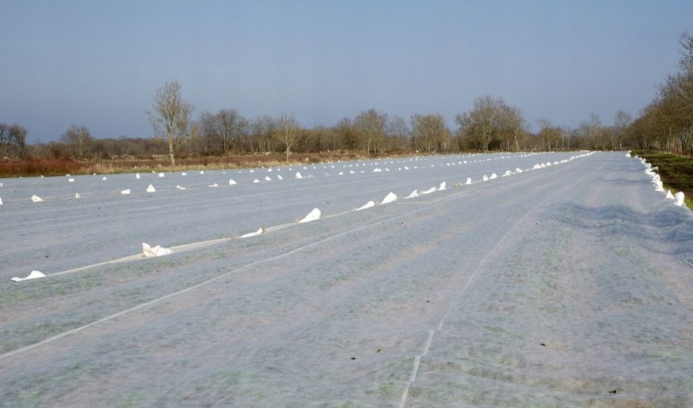 Agrowłóknina ogrodowa 4m na 20m