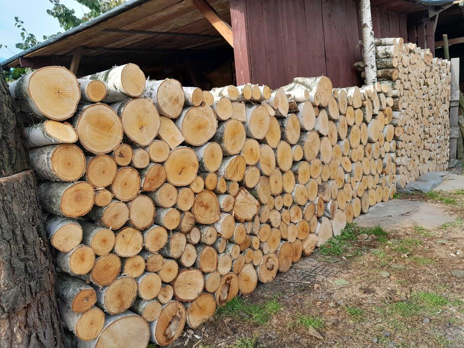 Drewno kominkowe brzoza