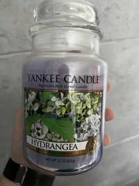 Yankee Candle - Hydrangea - duża nowa USA