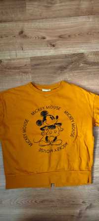 Ciepła bluza Disney, rozm. 146-152