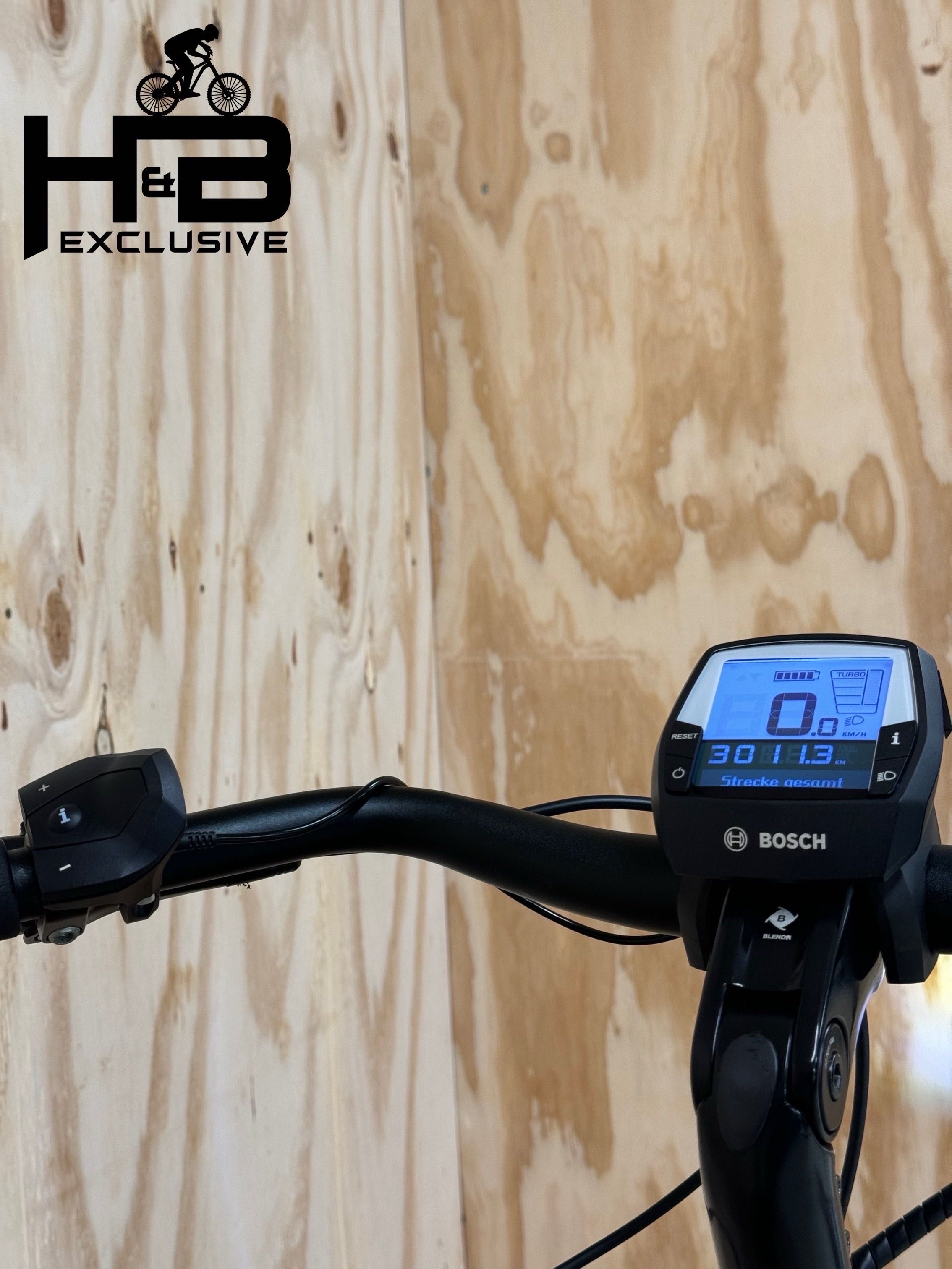 Diamant Beryll Deluxe+ Shimano Nexus 2023