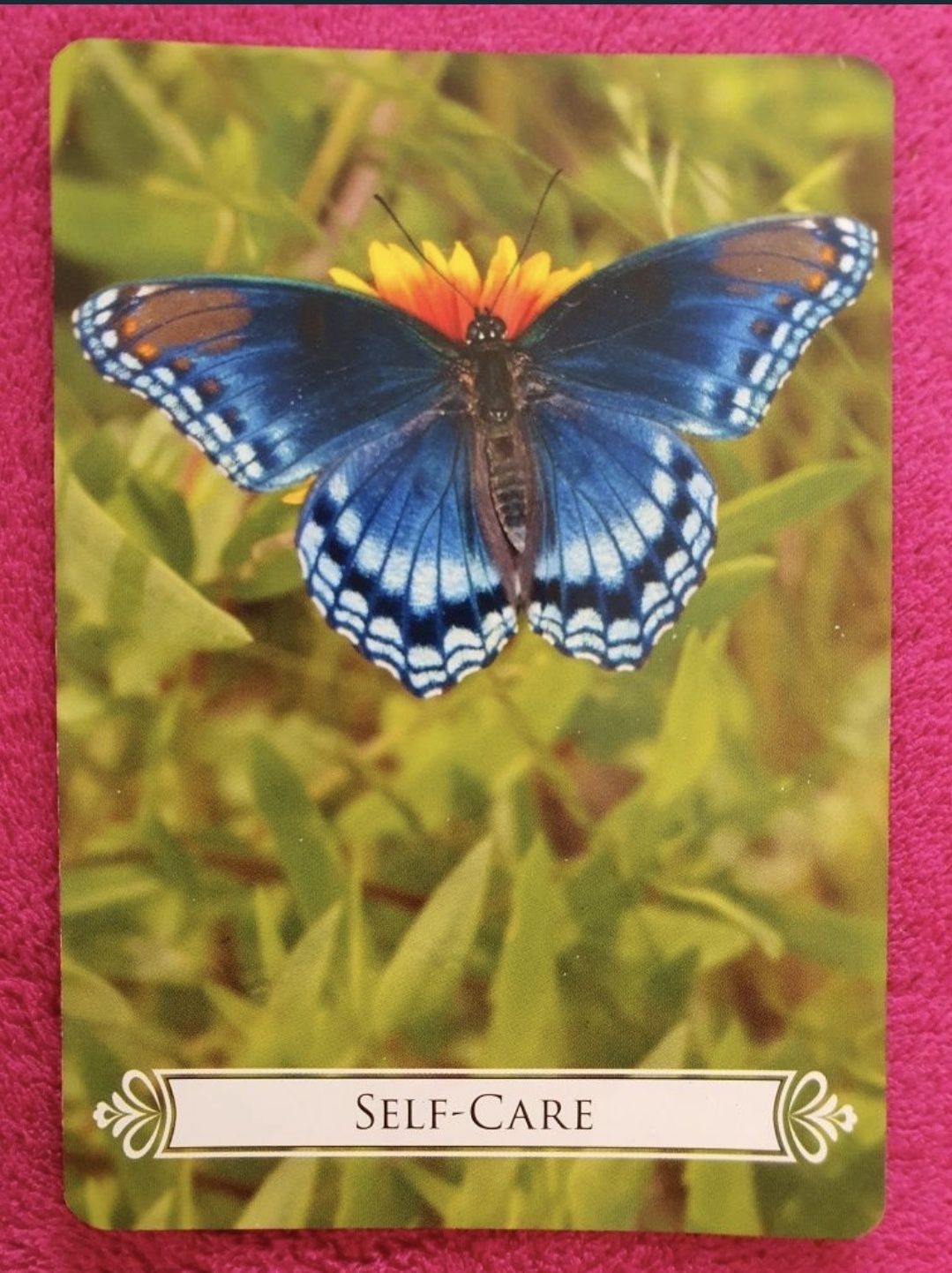Karty Oryginalne Doreen Virtue Butterfly Oracle Cards Brak jednej kart