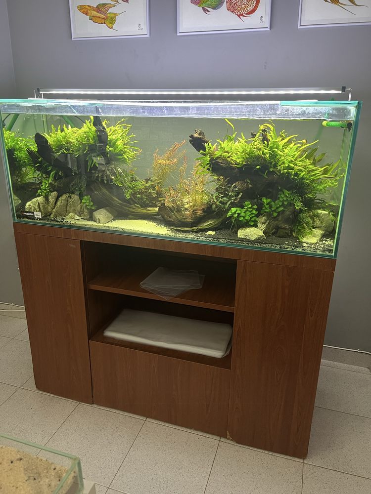 Aquario completo (215L)