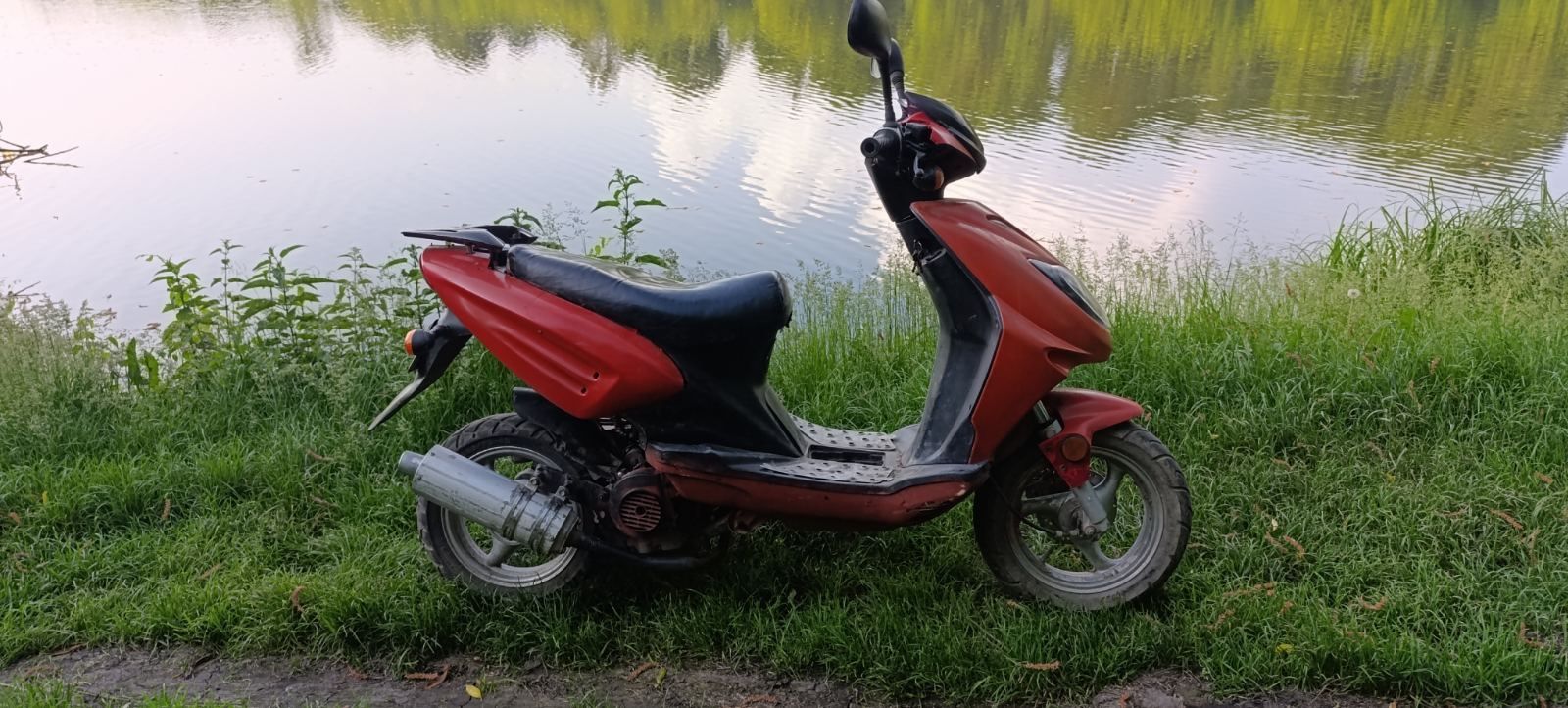 Скутер musstang 80кубів на документах