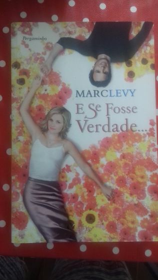 E se fosse verdade... Marclevy