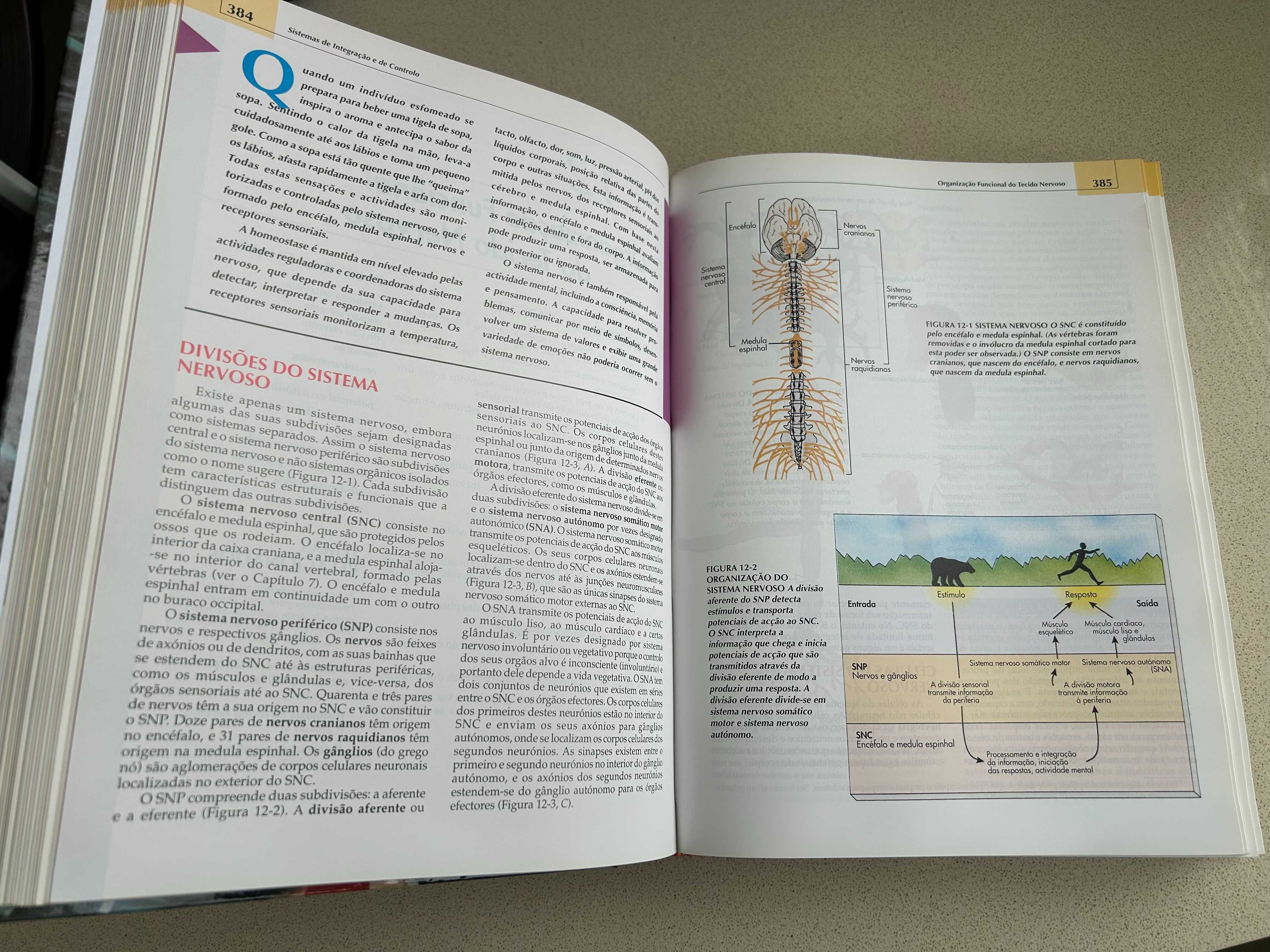 Livro Anatomia & Fisiologia de Seeley Stephens Tate