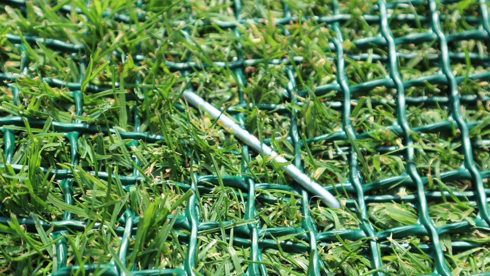 Rede para protecção relva (Evite buracos do seu cão no jardim)