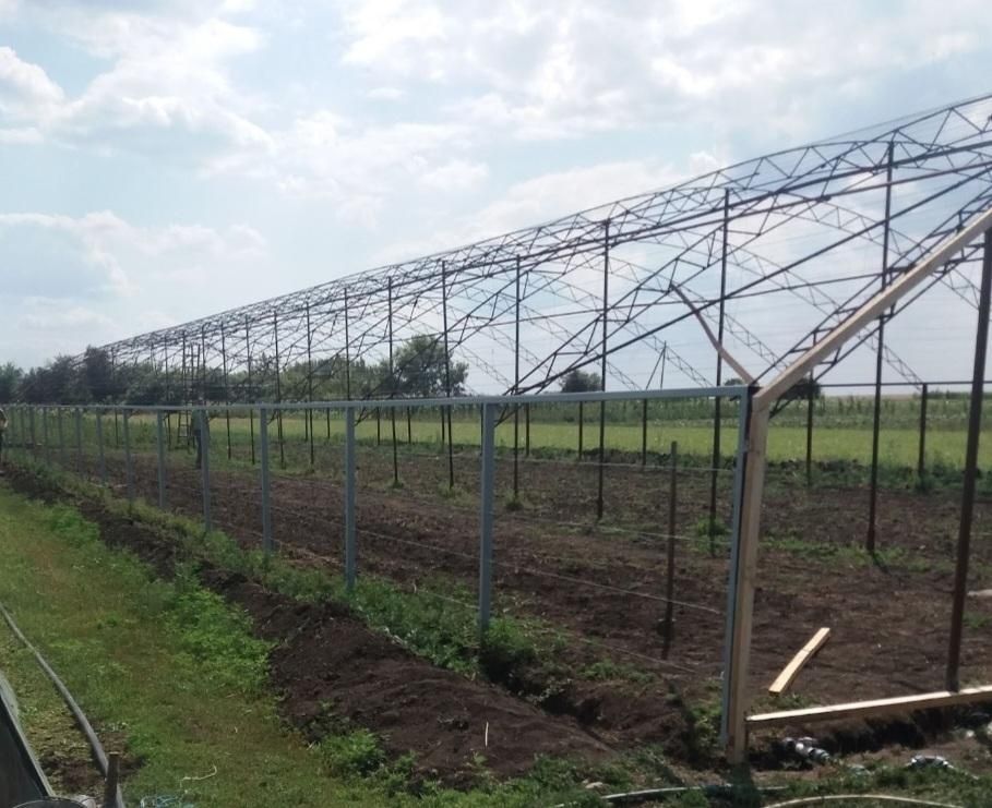 Продам балаган (теплицу)