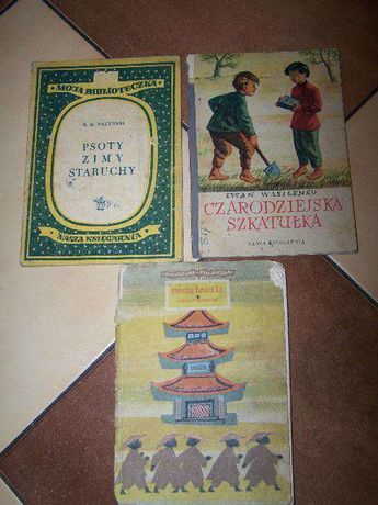 Książki dla dzieci Czarodziejska Szkatułka Psoty Zimy Pięciu braci Li
