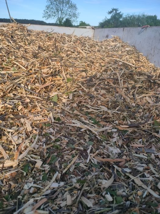 Zrębka leśna wieksza ilość oraz drzewo opałowe brzoza