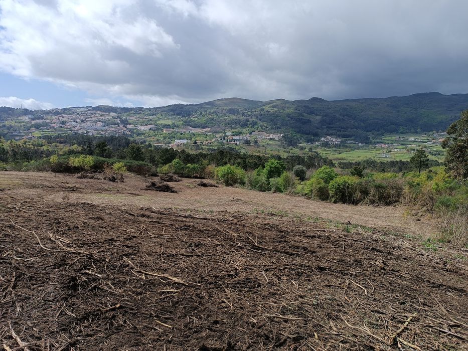 Limpeza de terrenos/jardins/trabalho de giratória/remoçã de entulhos