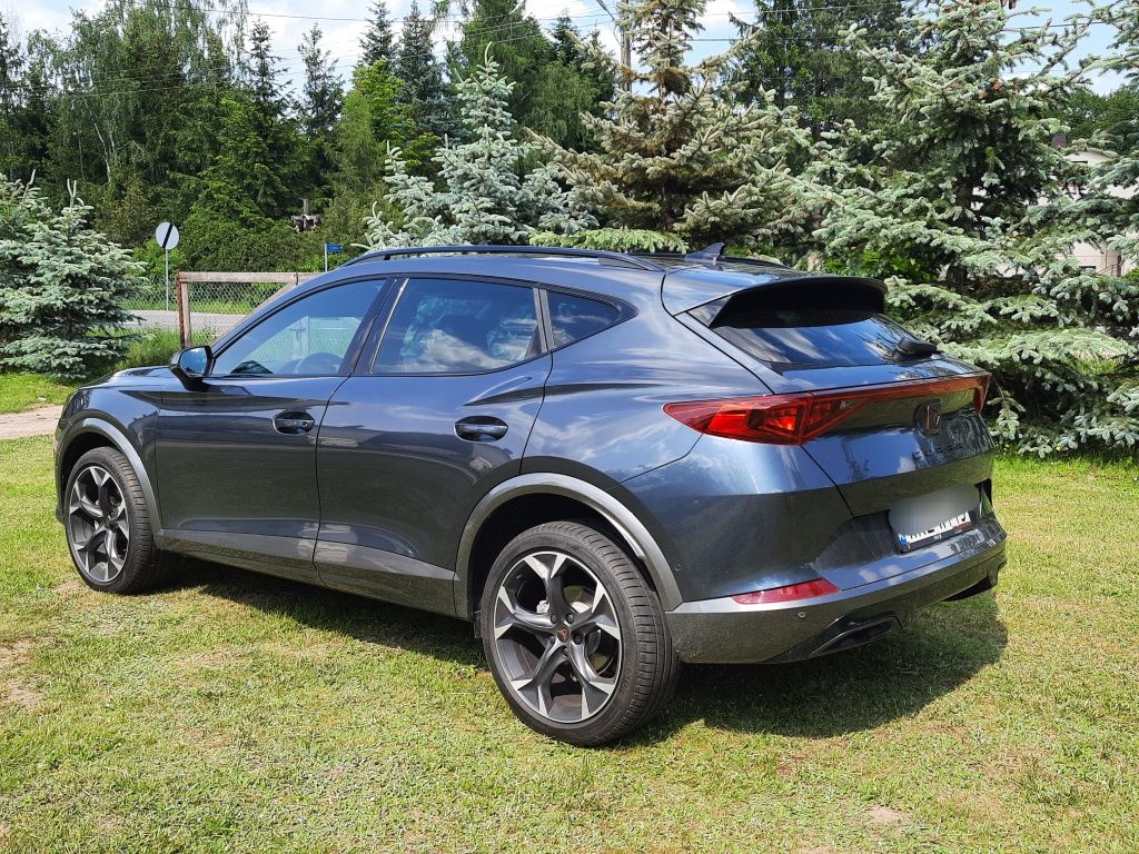 Cupra Formentor 2.0 TDI DSG 4Drive Kamera El Klapa
