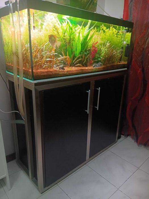 Aquario 100x40x40 160 litros