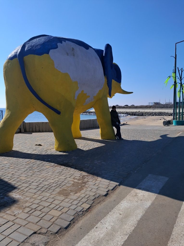 Домик у моря сдам посуточно