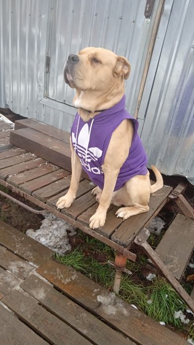 Ка Де Бо Кабель для вязки.