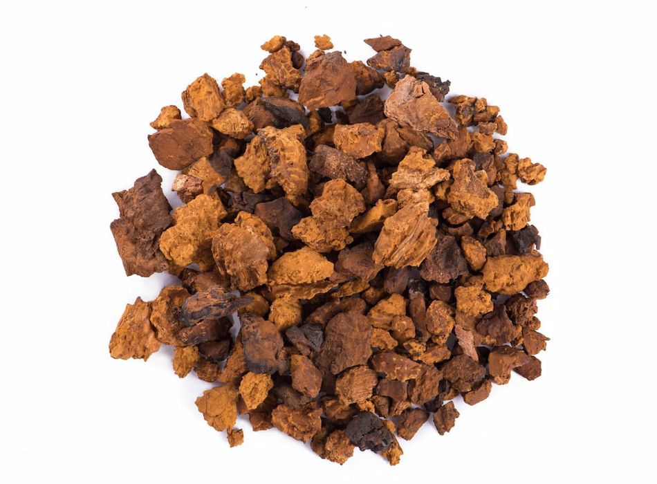Czaga - błyskoporek podkorowy 200 gr