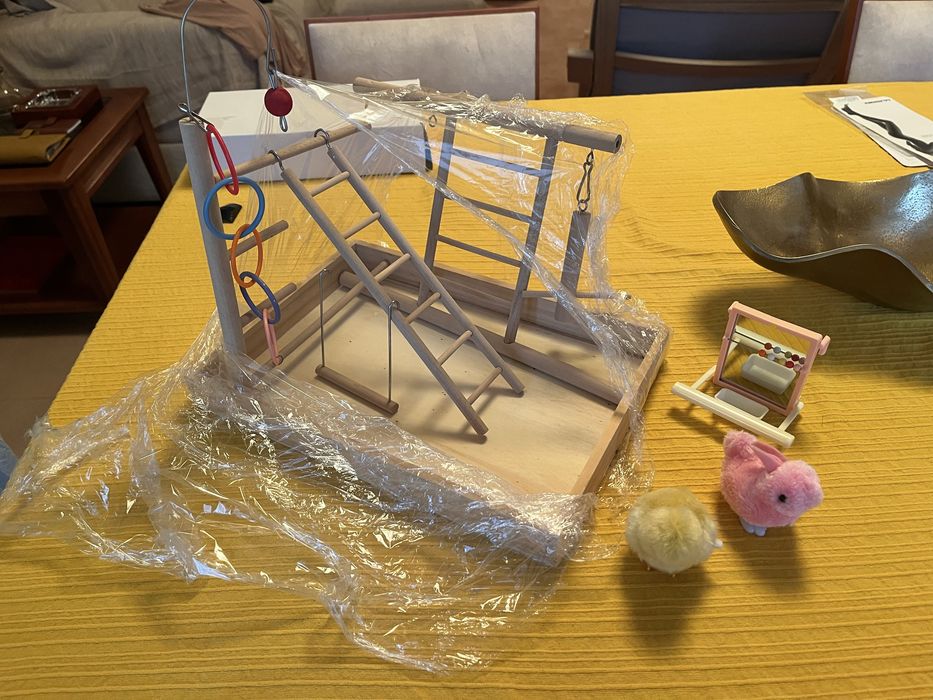 Parque de Diversões em Madeira para Passarinhos Pequenos