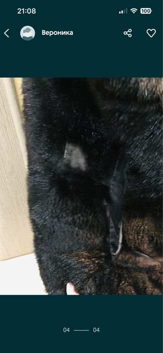 Шуба мутон и жилетка норковая