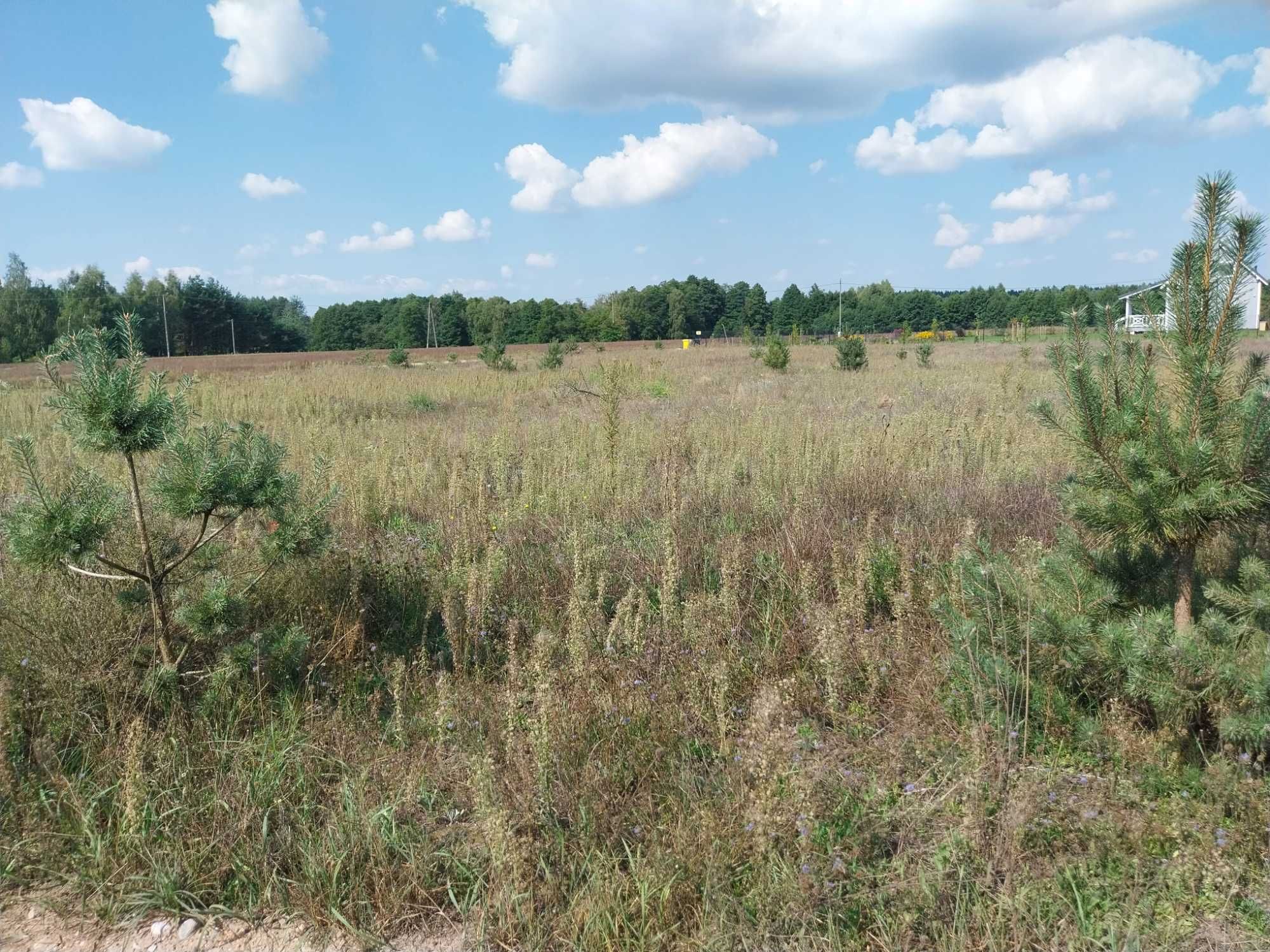 Działka budowlano-rekracyjna 1200m2 nad jeziorem na Poj. Dobrzyńskim