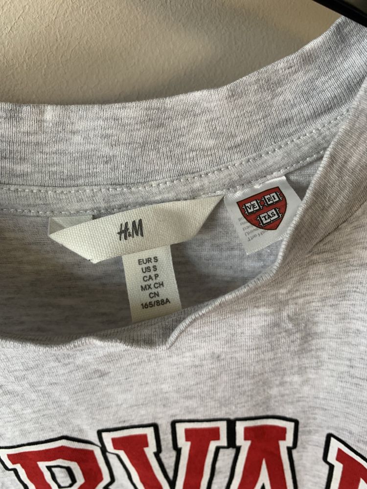 Szara koszulka Harvard H&M rozmiar S