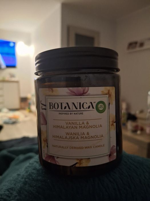 Świeczka botanica