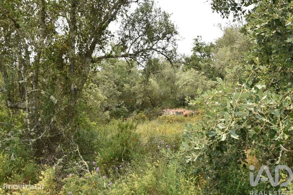 Terreno em Chãos de 4120,00 m2