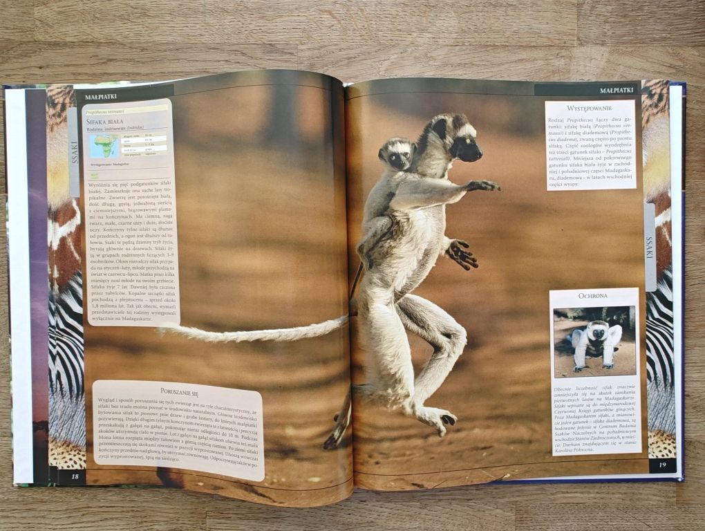Wielka encyklopedia zwierząt ssaki naczelne latawce ryjkonosy OXFORD