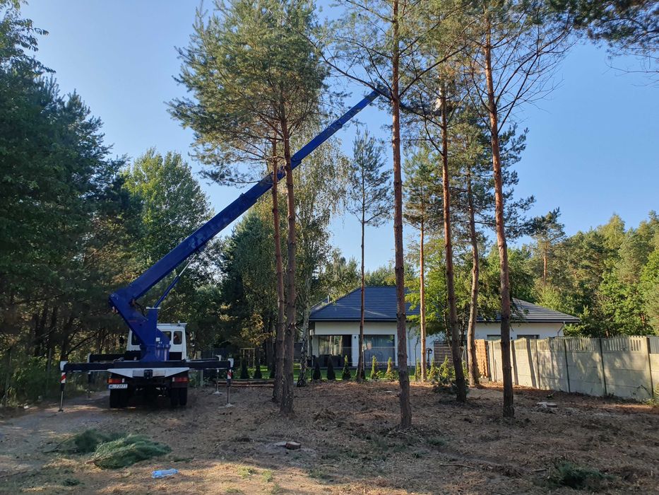 Wycinka drzew, zrębkowanie gałęzi, podnośnik koszowy Legionowo