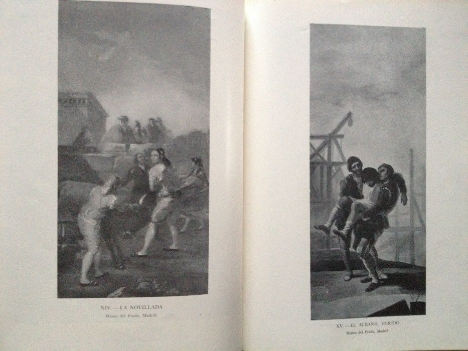 Ignacio de Beryes - La vida y los cuadros de Goya