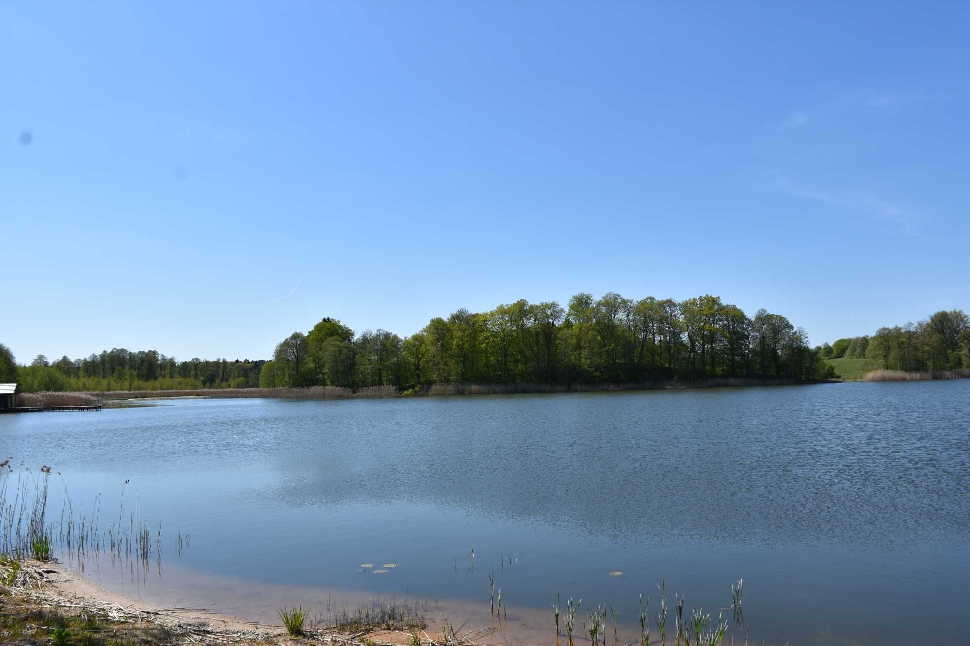 Idealna działka rekreacyjna mazury Ełk Olecko jezioro las