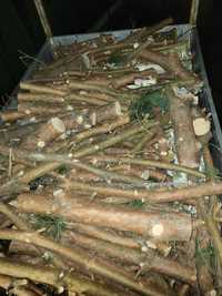 Drewno sosna brzoza