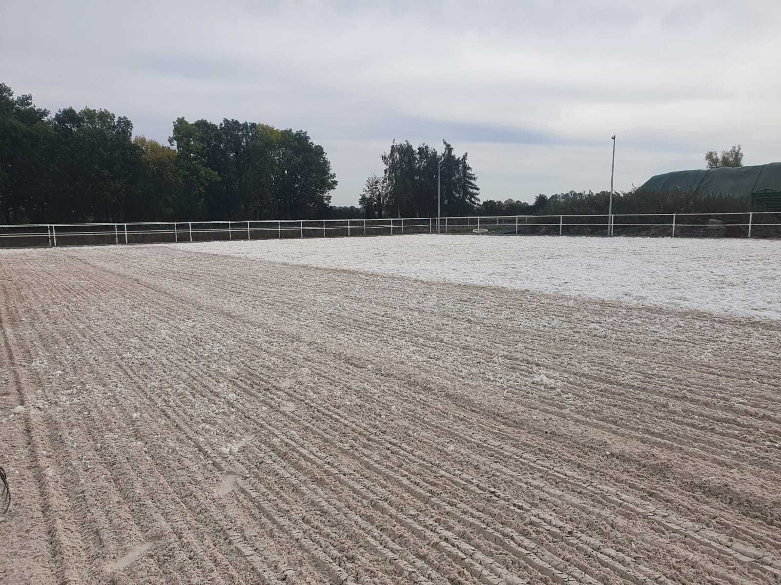 Piasek kwarcowy na ujeżdżalnie konne, parkury, padok, kwarc