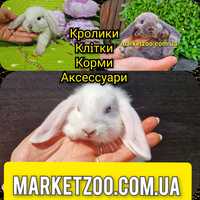 Мини mini lop мiнi карликовые кролики карликовий кролик декоративний