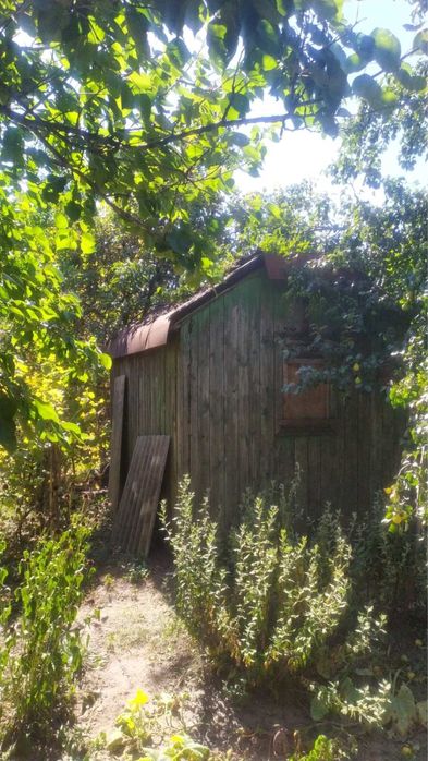 Дачний участок в садовому кооп . «Моторобудівник »