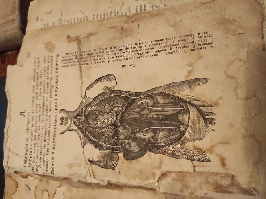 Старинные книги..