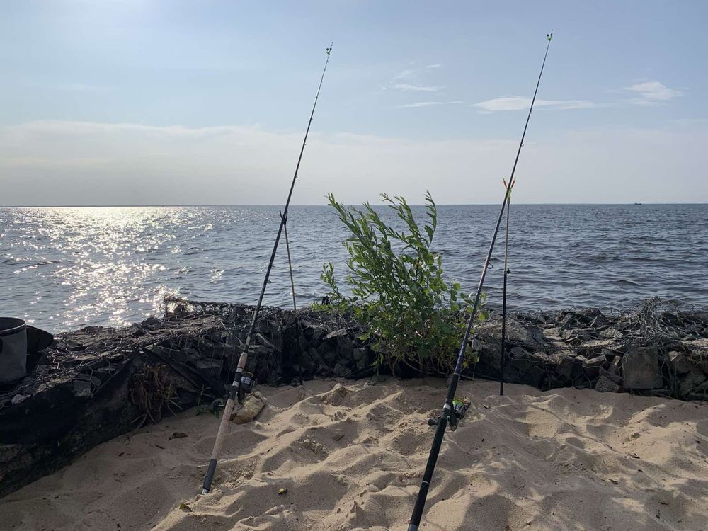 Будиночок в лісі.20хв.від Києва.Сосни і море.Пляж & барбекю.