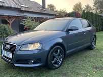 Audi a3 8p 1.9tdi
