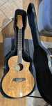 Gitara elektroakustyczna 12-strunowa Ibanez EW2012ASE NT Exotic Wood