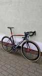 Rower szosowy Focus Cayo karbon