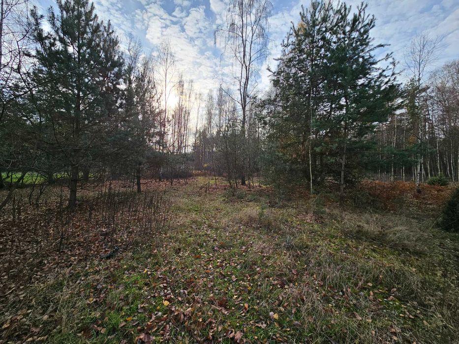 sprzedam działkę rolną