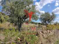 Terreno rustico com 4495 m²